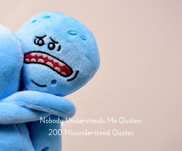 Nobody Understands Me Quotes: 200 Misunderstood Quotes