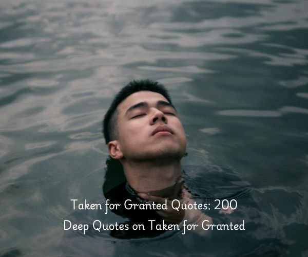 Taken for Granted Quotes: 200 Deep Quotes on Taken for Granted