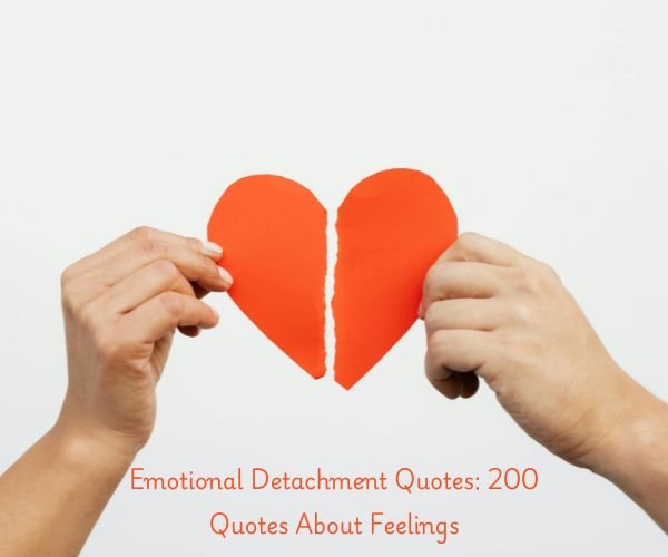 Emotional Detachment Quotes: 200 Quotes About Feelings
